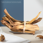 PALO SANTO