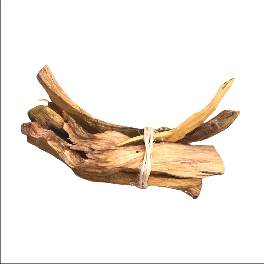 PALO SANTO