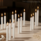 VELAS 30X10G
