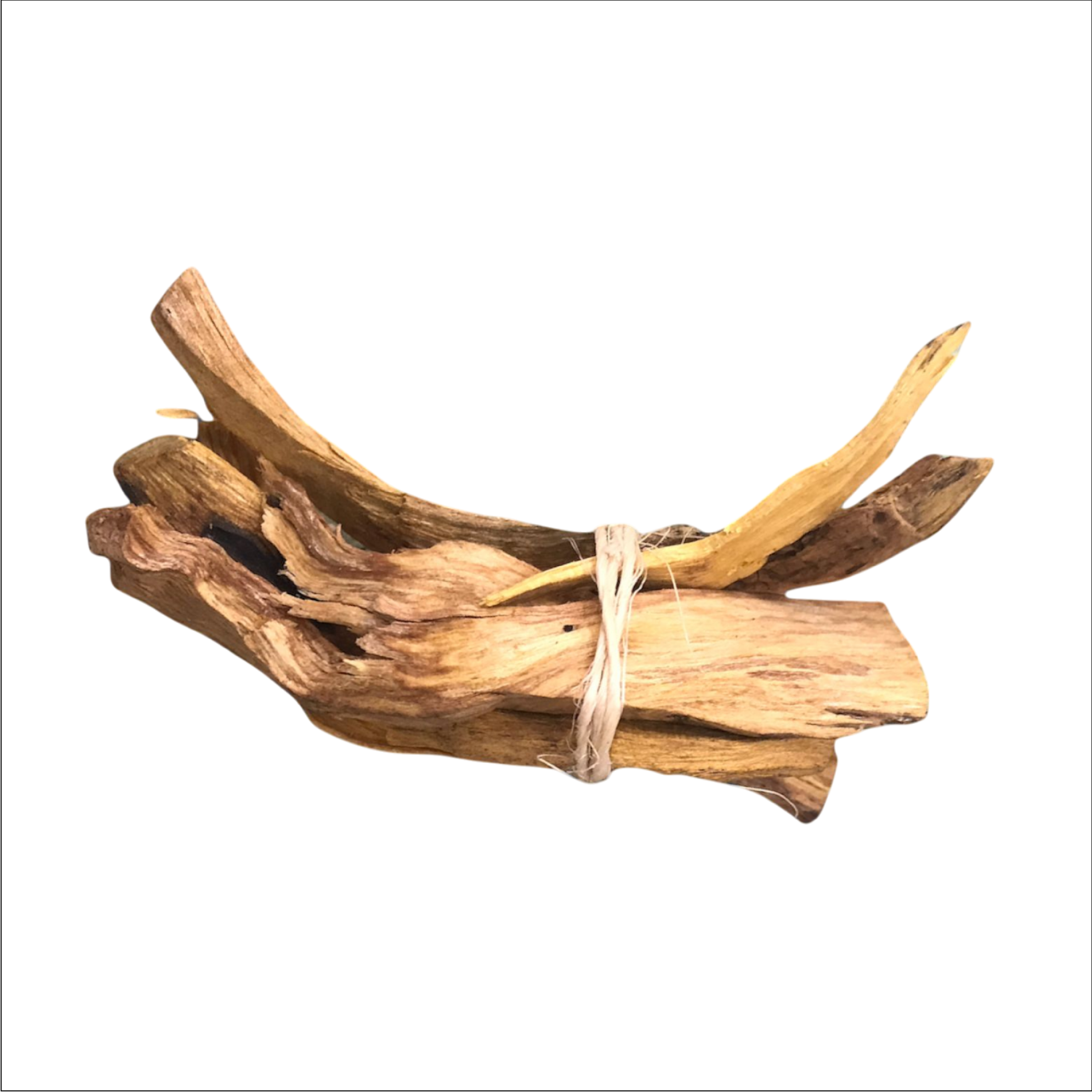 PALO SANTO GRANDE - Imagen 2